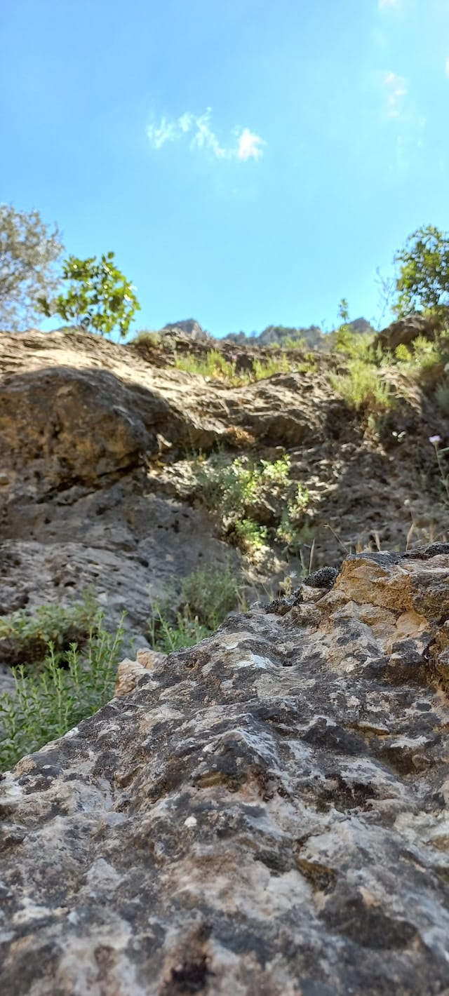 california's basalt